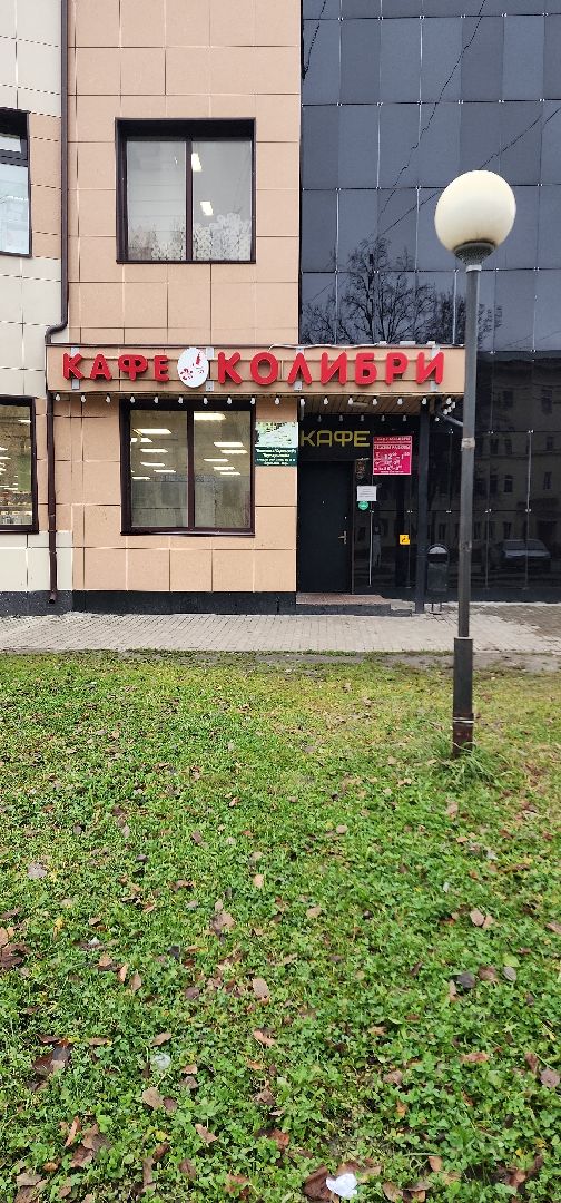 электросталь, безопасность, герой, кафе, трагедия, общество, мой город,