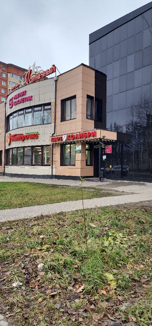 электросталь, безопасность, герой, кафе, трагедия, общество, мой город,