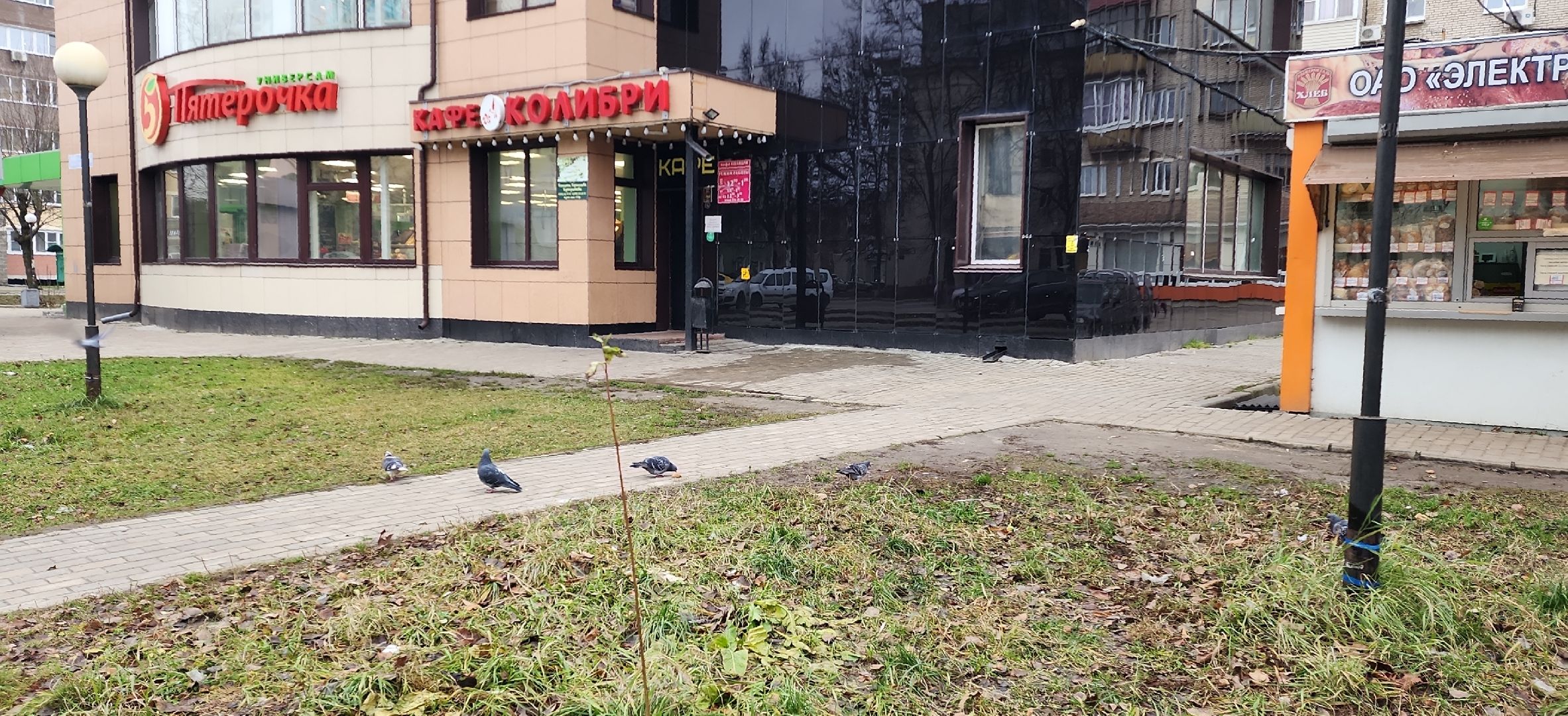 электросталь, безопасность, герой, кафе, трагедия, общество, мой город,