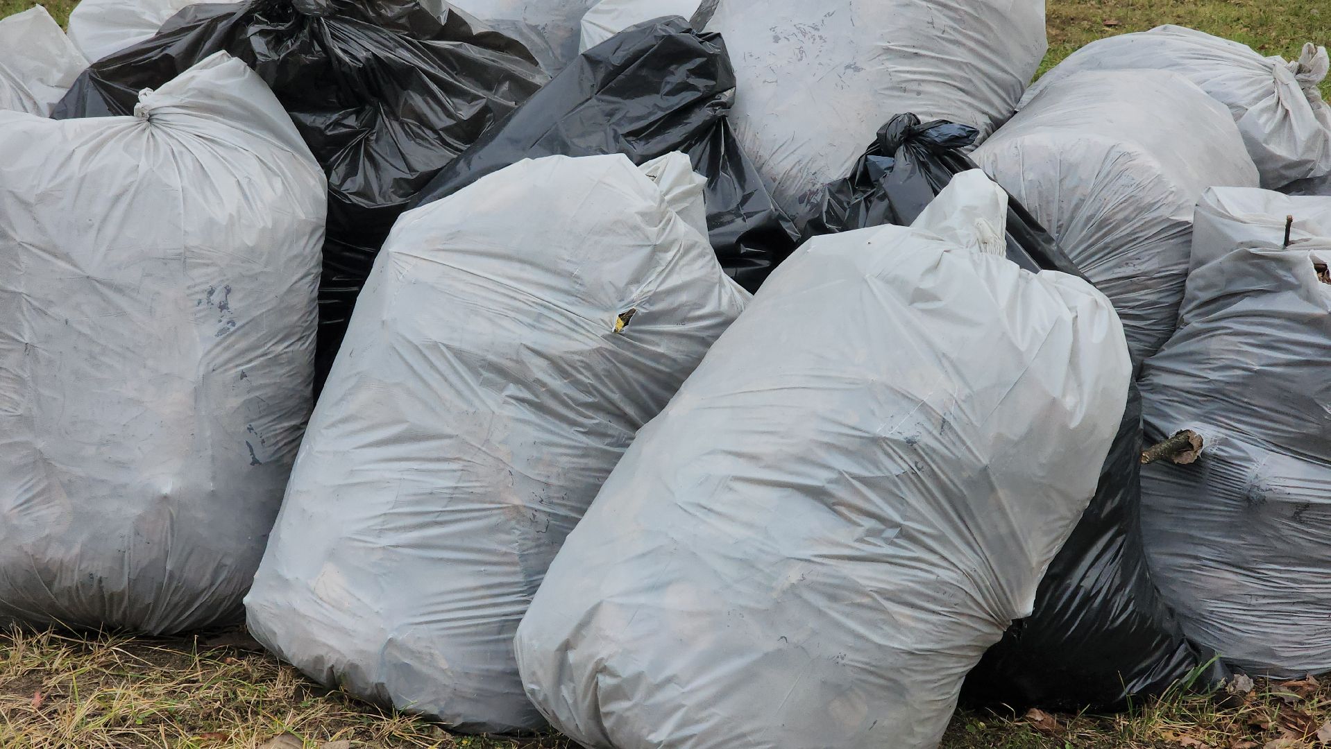 Медицина, благоустройство, люди, общемтво, здравоохранение, городской округ пушкинский, ивантеевка,