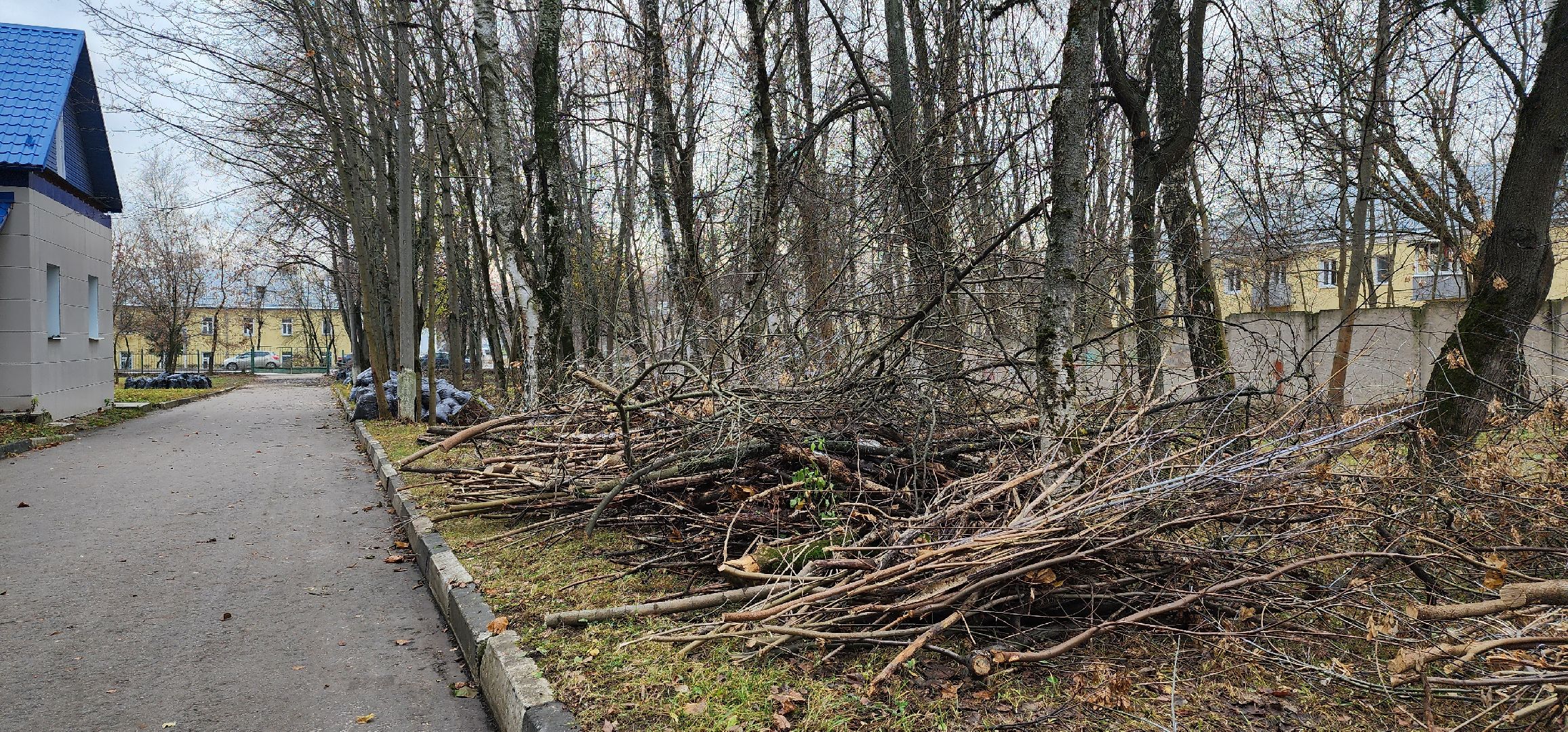 Медицина, благоустройство, люди, общемтво, здравоохранение, городской округ пушкинский, ивантеевка,