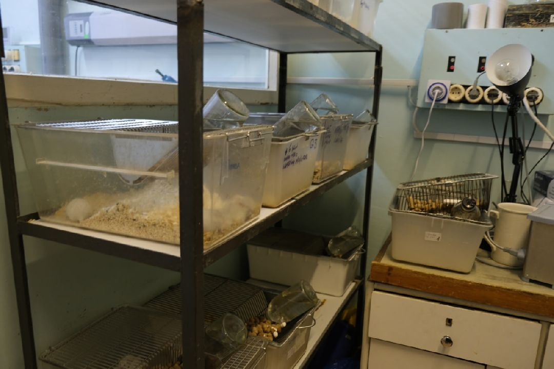 Пущино Ученые изобрели