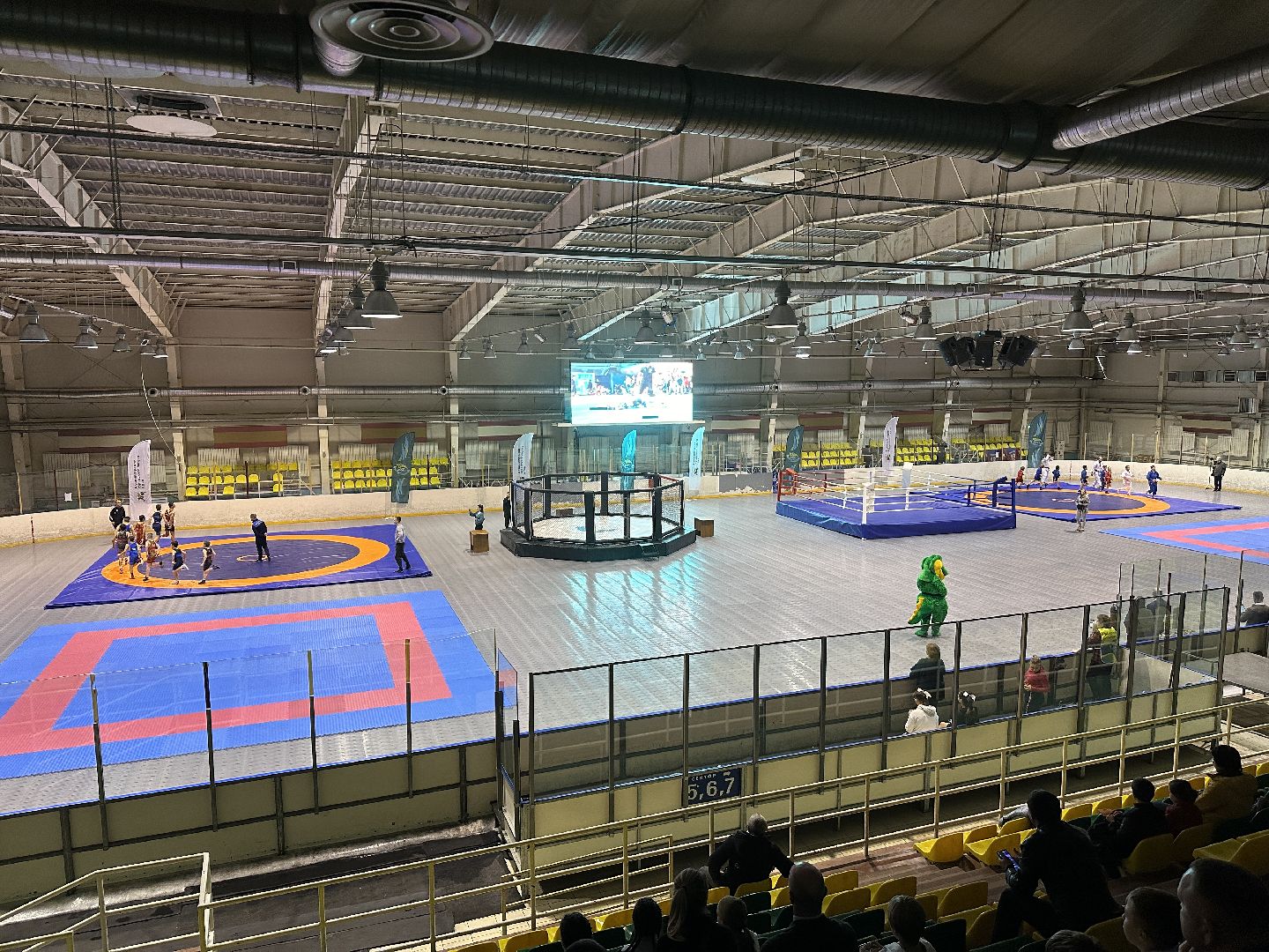 Клин, общество, спорт, единоборства, подмосковье,