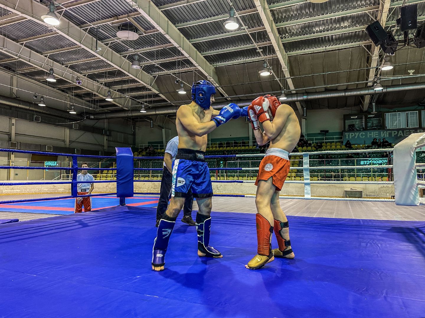 Клин, общество, спорт, единоборства, подмосковье,