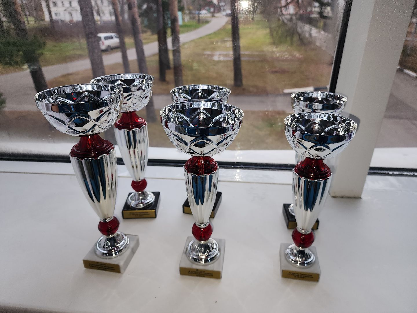 шатура, зарайск, рошаль, орехово-зуево, куровское, Дрезна, первенство по плаванию, олимпийский, награждение,