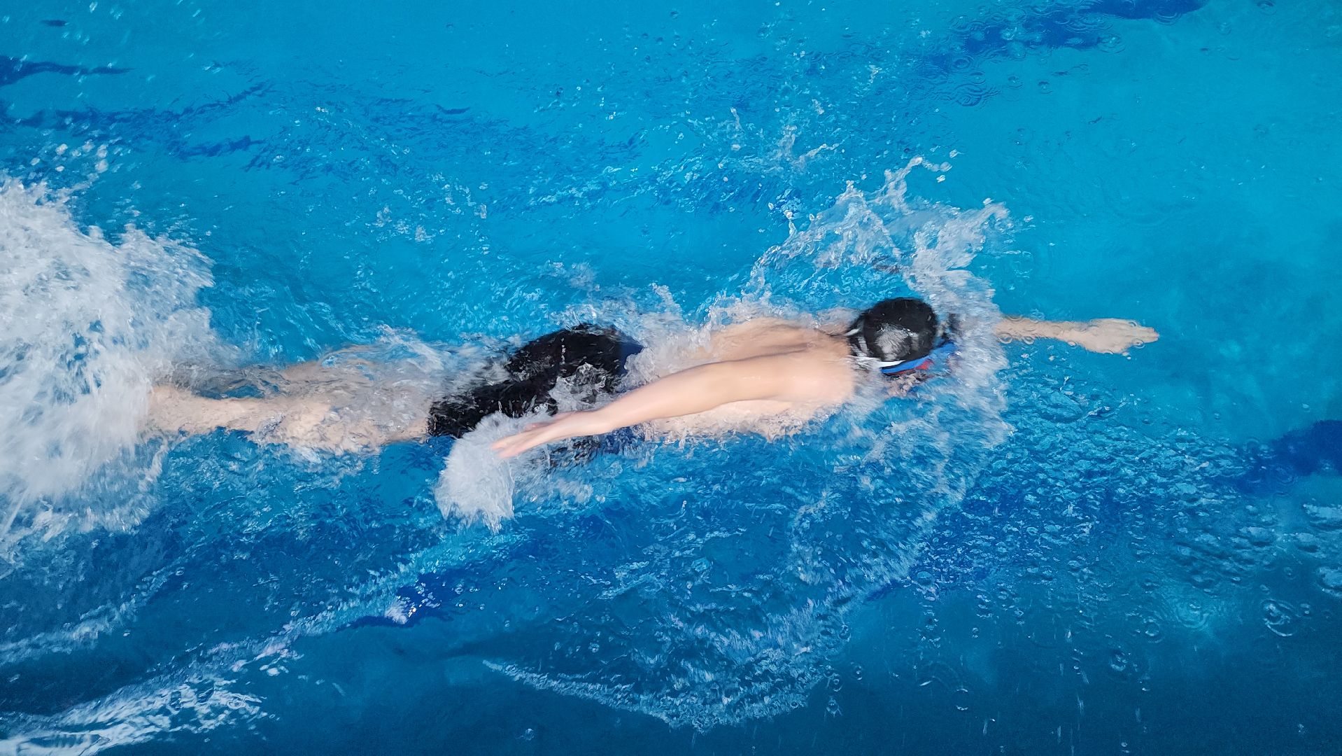 шатура, зарайск, рошаль, орехово-зуево, куровское, Дрезна, первенство по плаванию, олимпийский, награждение,