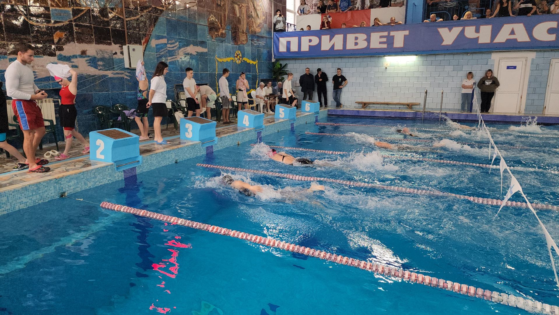 шатура, зарайск, рошаль, орехово-зуево, куровское, Дрезна, первенство по плаванию, олимпийский, награждение,