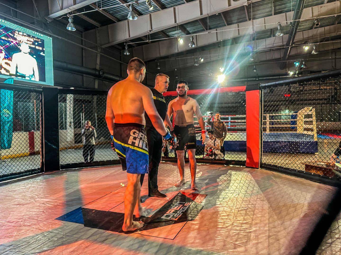 Клин, общество, спорт, ММА, подмосковье,