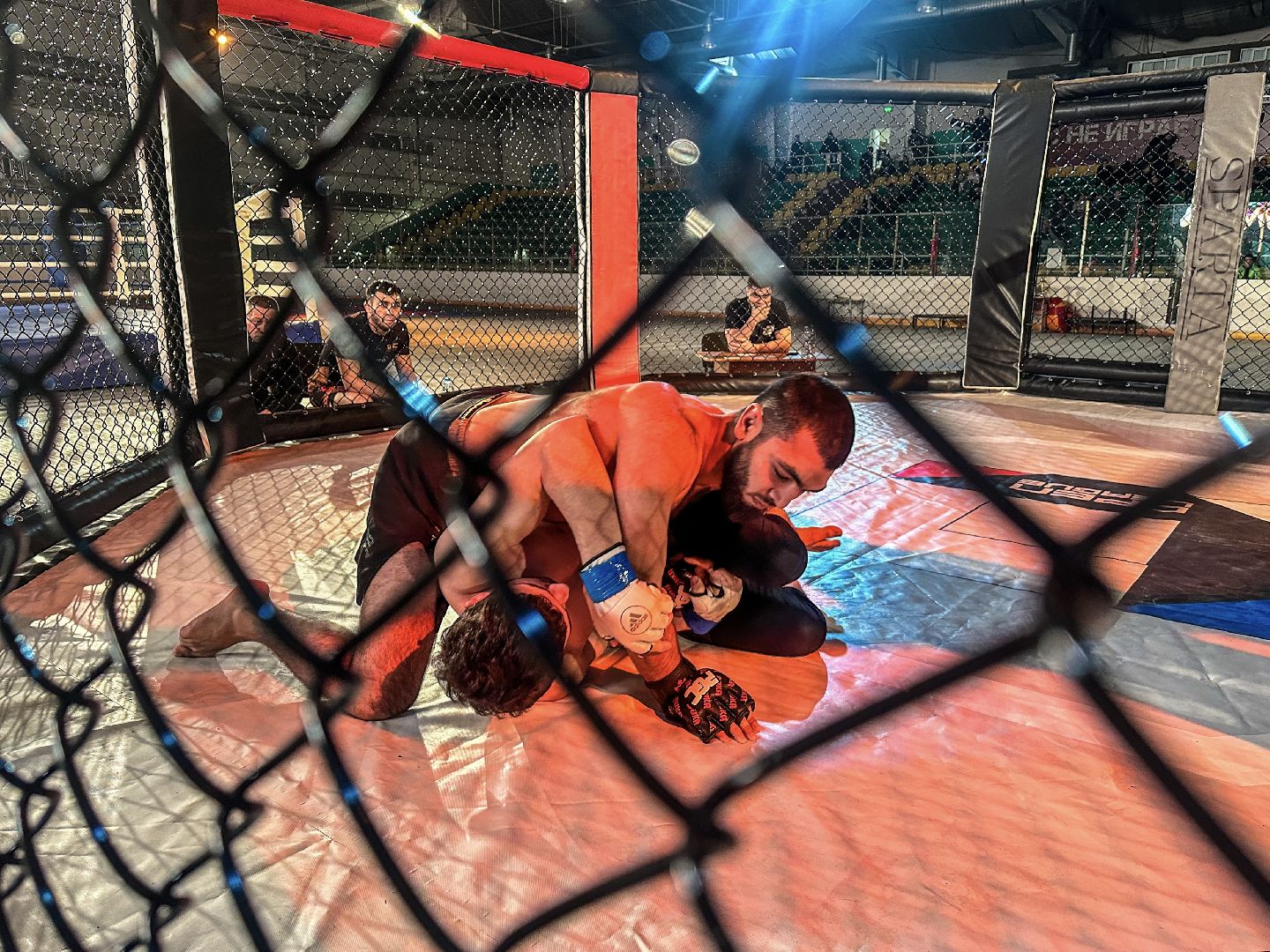 Клин, общество, спорт, ММА, подмосковье,