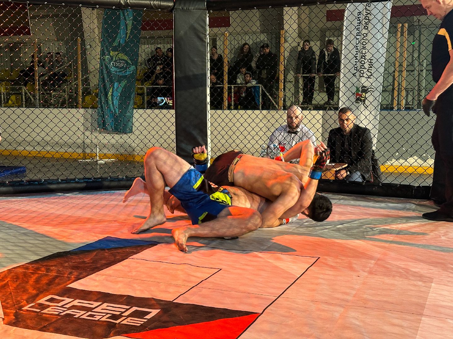 Клин, общество, спорт, ММА, подмосковье,