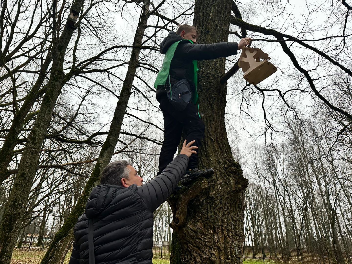 экологическая акция, Синичкин день, зеленый патруль, наро-фоминск,