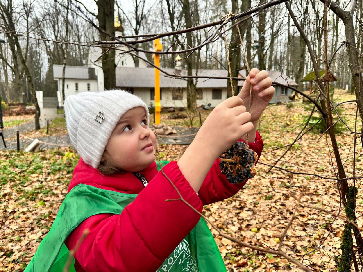 экологическая акция, Синичкин день, зеленый патруль, наро-фоминск,