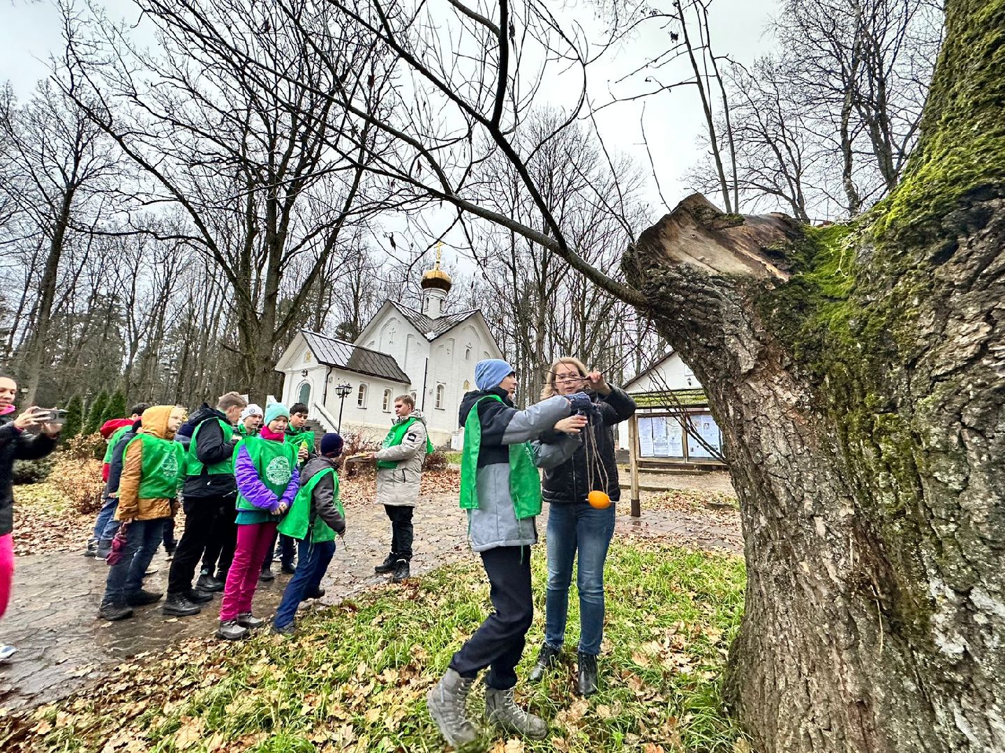 экологическая акция, Синичкин день, зеленый патруль, наро-фоминск,