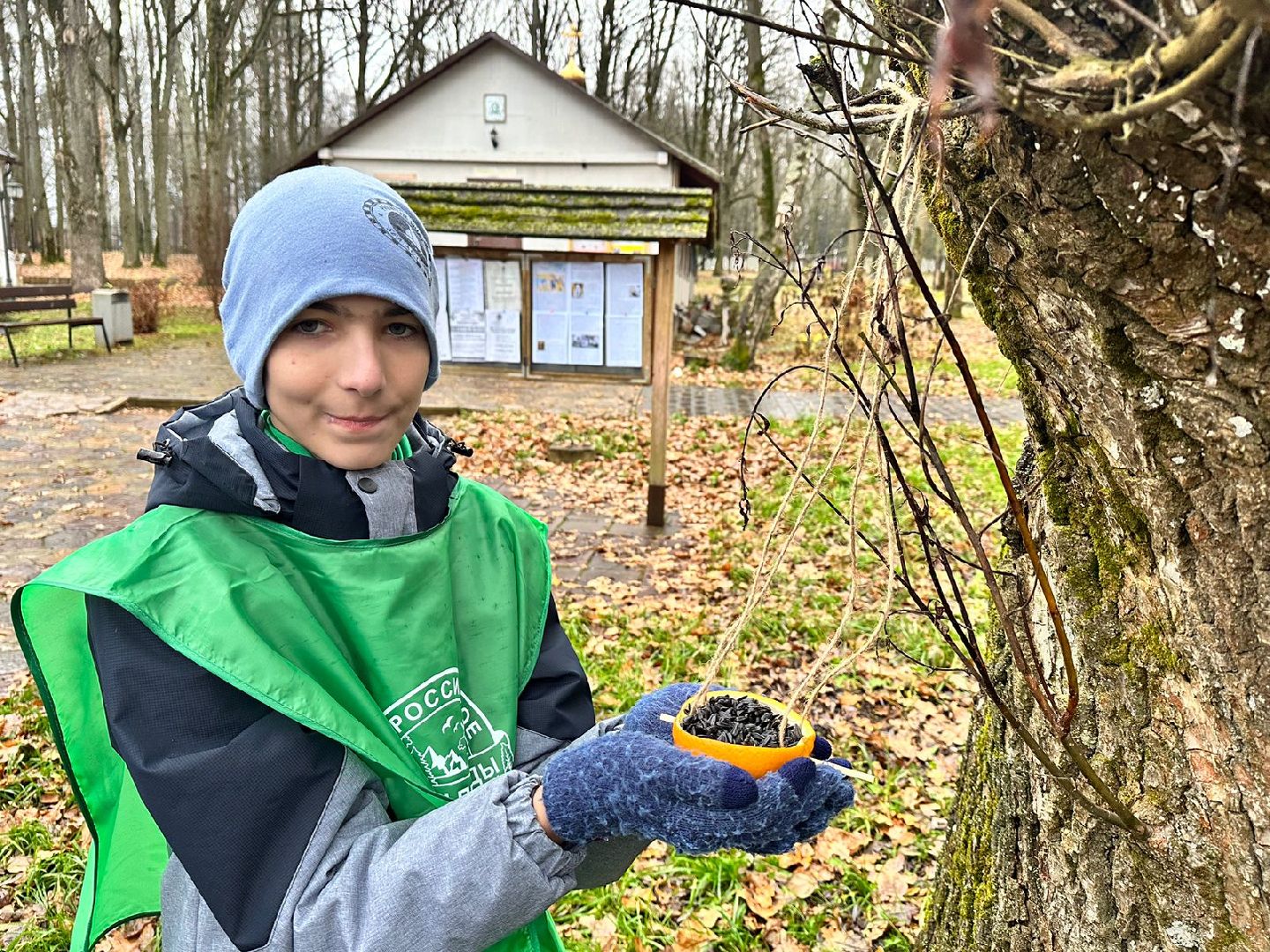 экологическая акция, Синичкин день, зеленый патруль, наро-фоминск,
