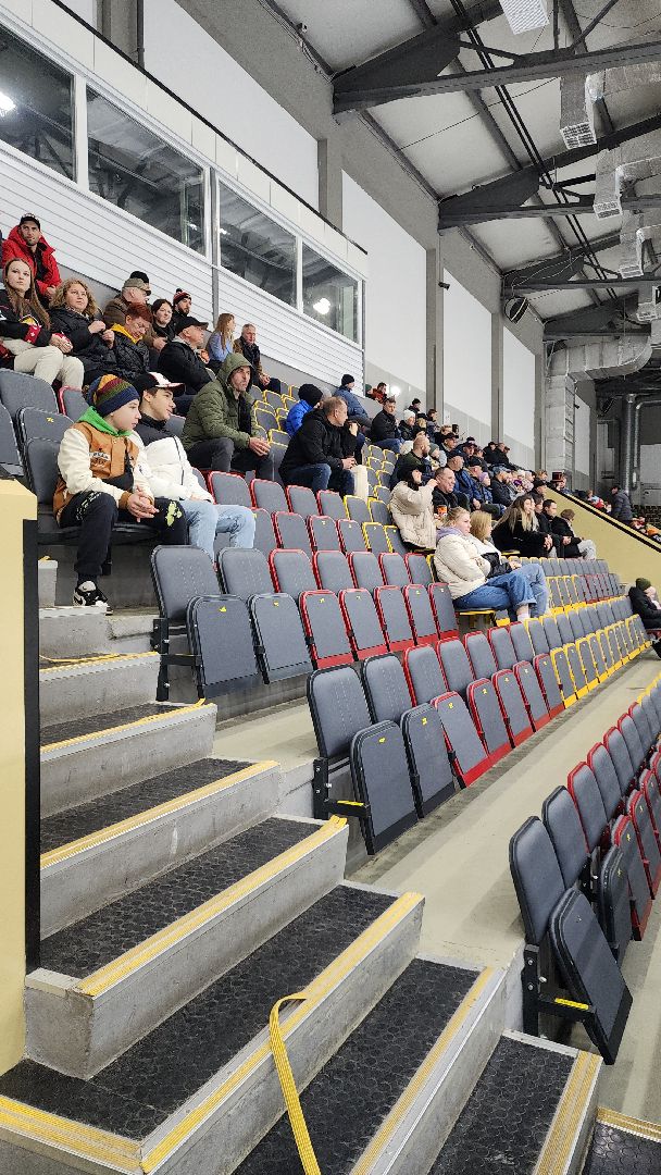 электросталь, павловский посад, хоккей, хоккейная лига, хоккеисты, электросталь спортивная, матч, первенство московской области, подмосковье,ледовый дворец,