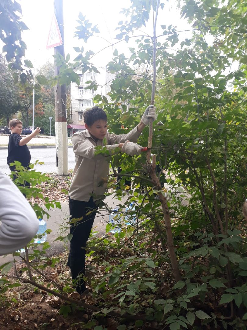 Амет-Хан Султан, мемориальная доска, клумба, цветы, школа-интернат, Мельникова,