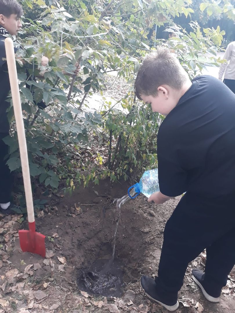 Амет-Хан Султан, мемориальная доска, клумба, цветы, школа-интернат, Мельникова,