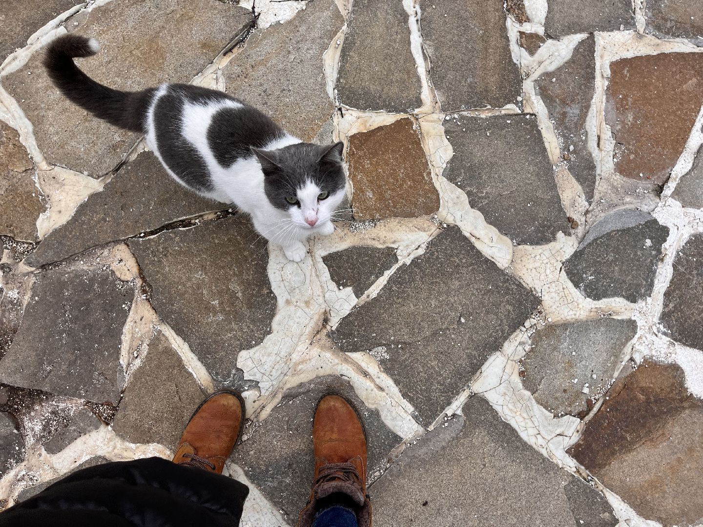 Шаховская, воскресная школа, церковь, храм,