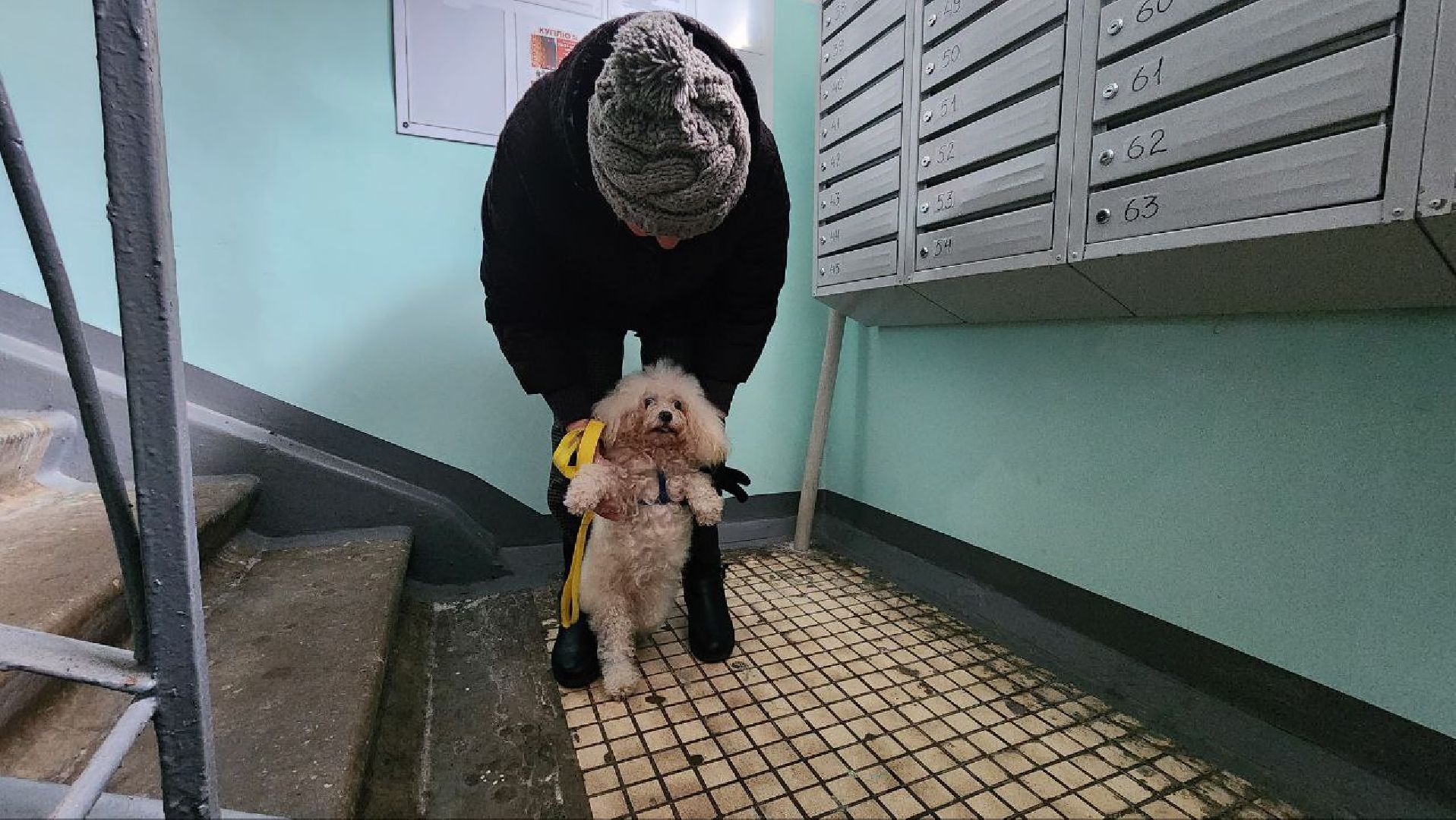 Дмитров, Мой подъезд, Мин ЖКХ,