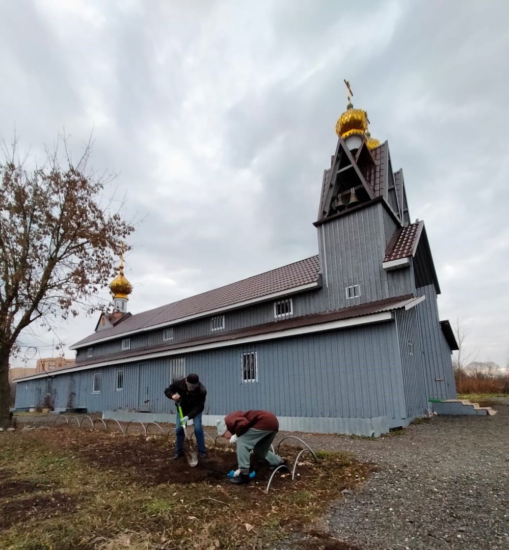 Город-сад, волонтеры, храм Вознесения Господня, тюльпаны, Пушкарева,