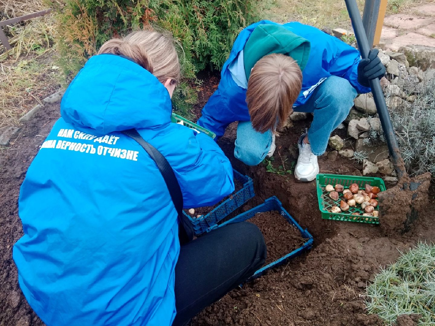 Город-сад, волонтеры, храм Вознесения Господня, тюльпаны, Пушкарева,