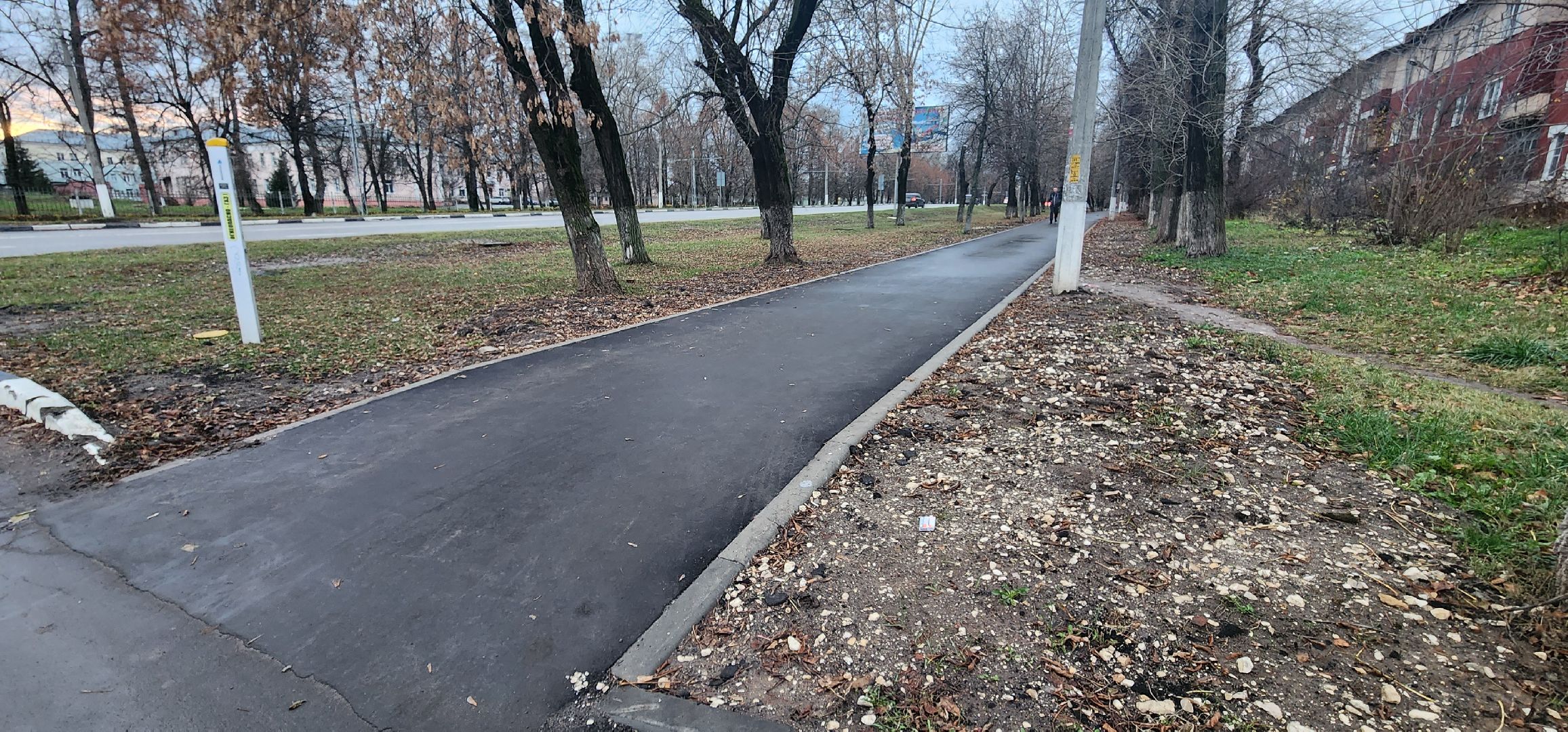 Коломна, тротуары, безопасные дороги,