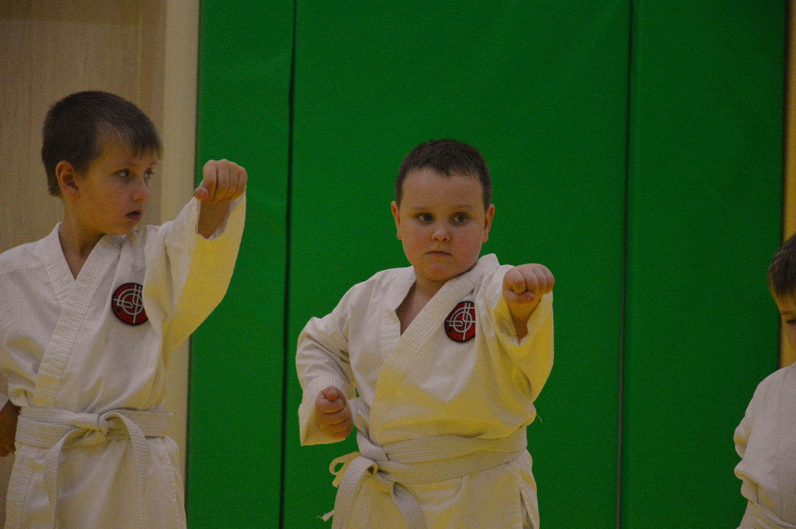 шатура, каратэ, городской округ спорт, лицей, перспектива, секция спорта,Будан, японская борьба,