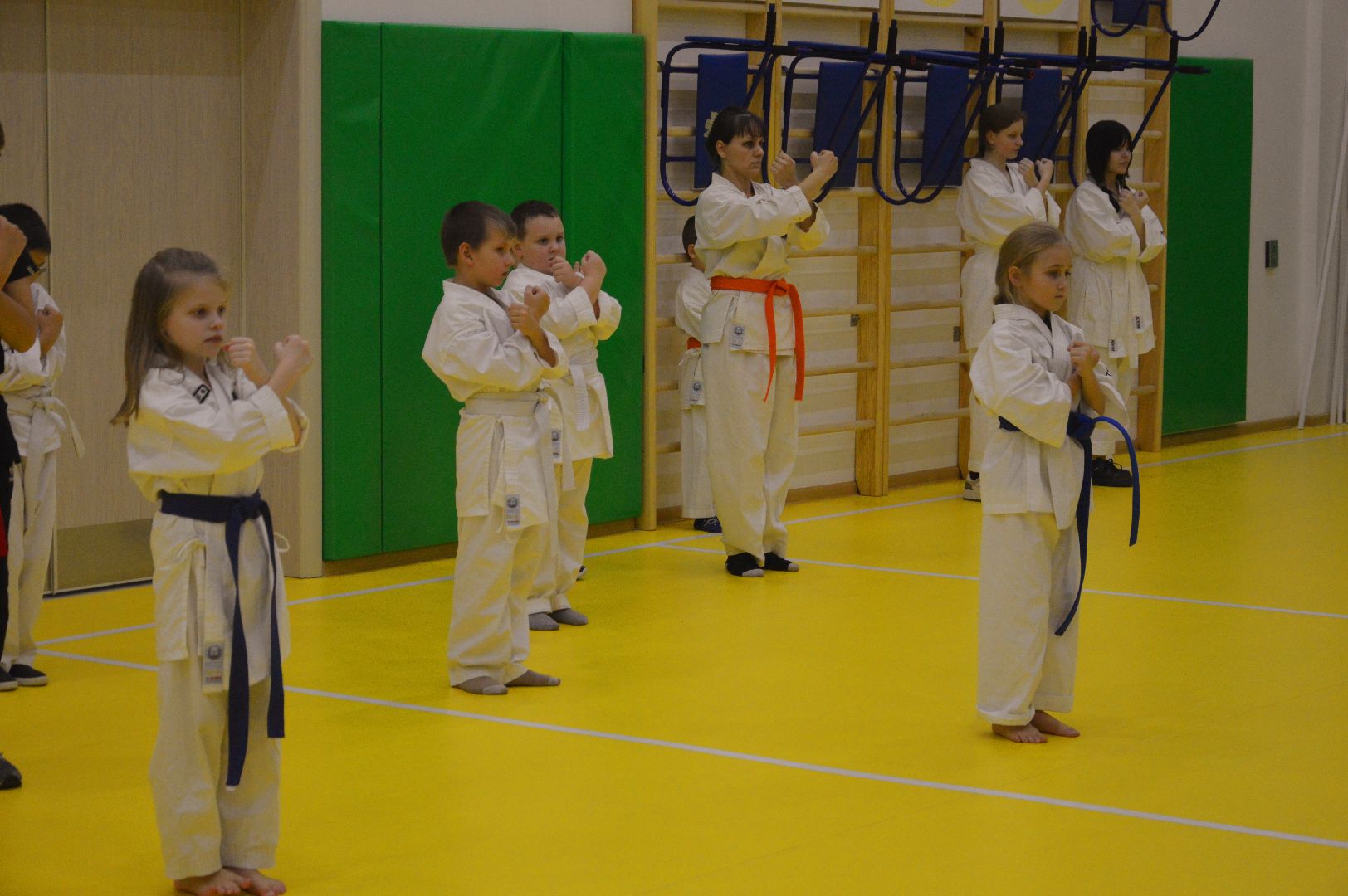 шатура, каратэ, городской округ спорт, лицей, перспектива, секция спорта,Будан, японская борьба,