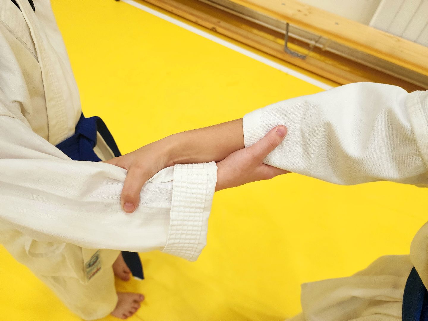 шатура, каратэ, городской округ спорт, лицей, перспектива, секция спорта,Будан, японская борьба,