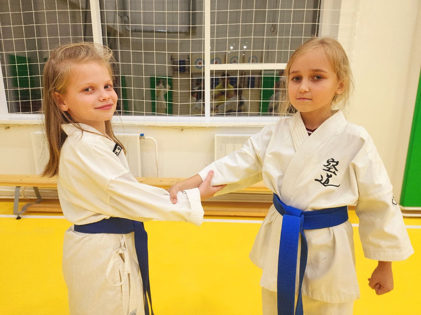 шатура, каратэ, городской округ спорт, лицей, перспектива, секция спорта,Будан, японская борьба,