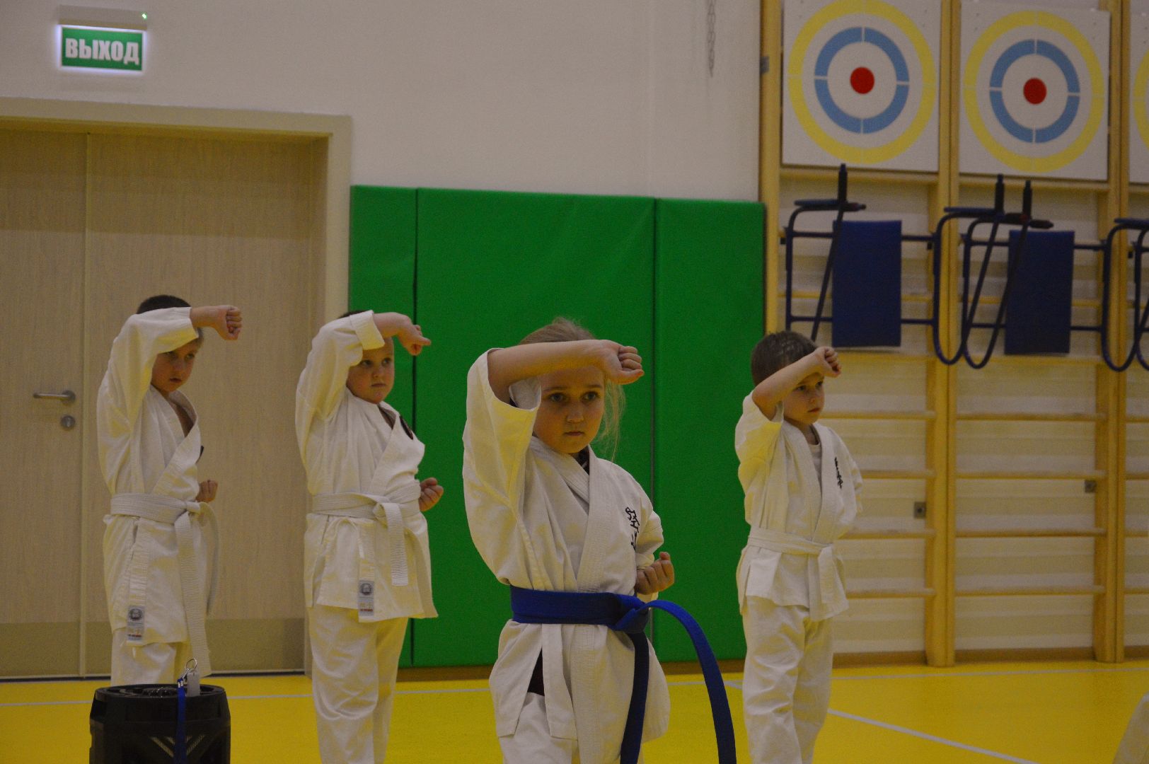 шатура, каратэ, городской округ спорт, лицей, перспектива, секция спорта,Будан, японская борьба,