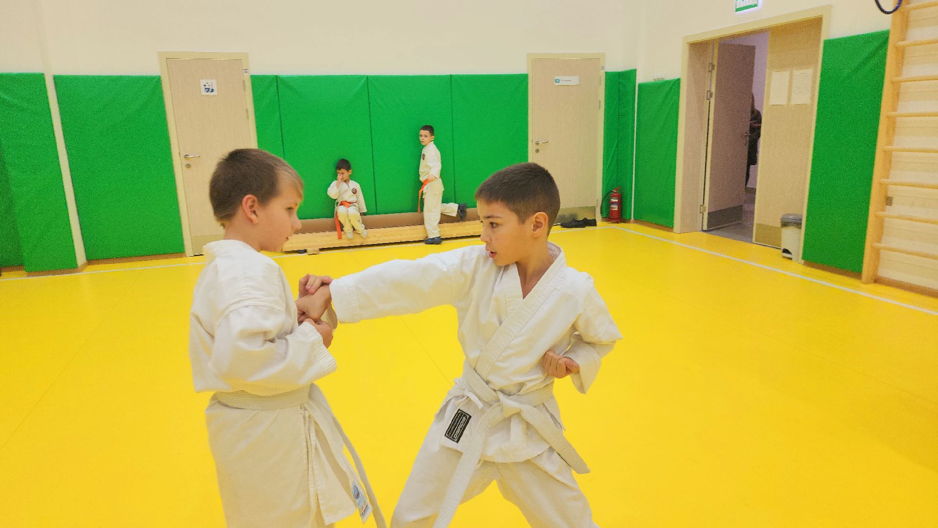 шатура, каратэ, городской округ спорт, лицей, перспектива, секция спорта,Будан, японская борьба,