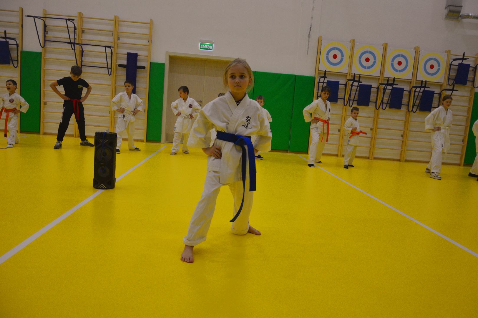 шатура, каратэ, городской округ спорт, лицей, перспектива, секция спорта,Будан, японская борьба,