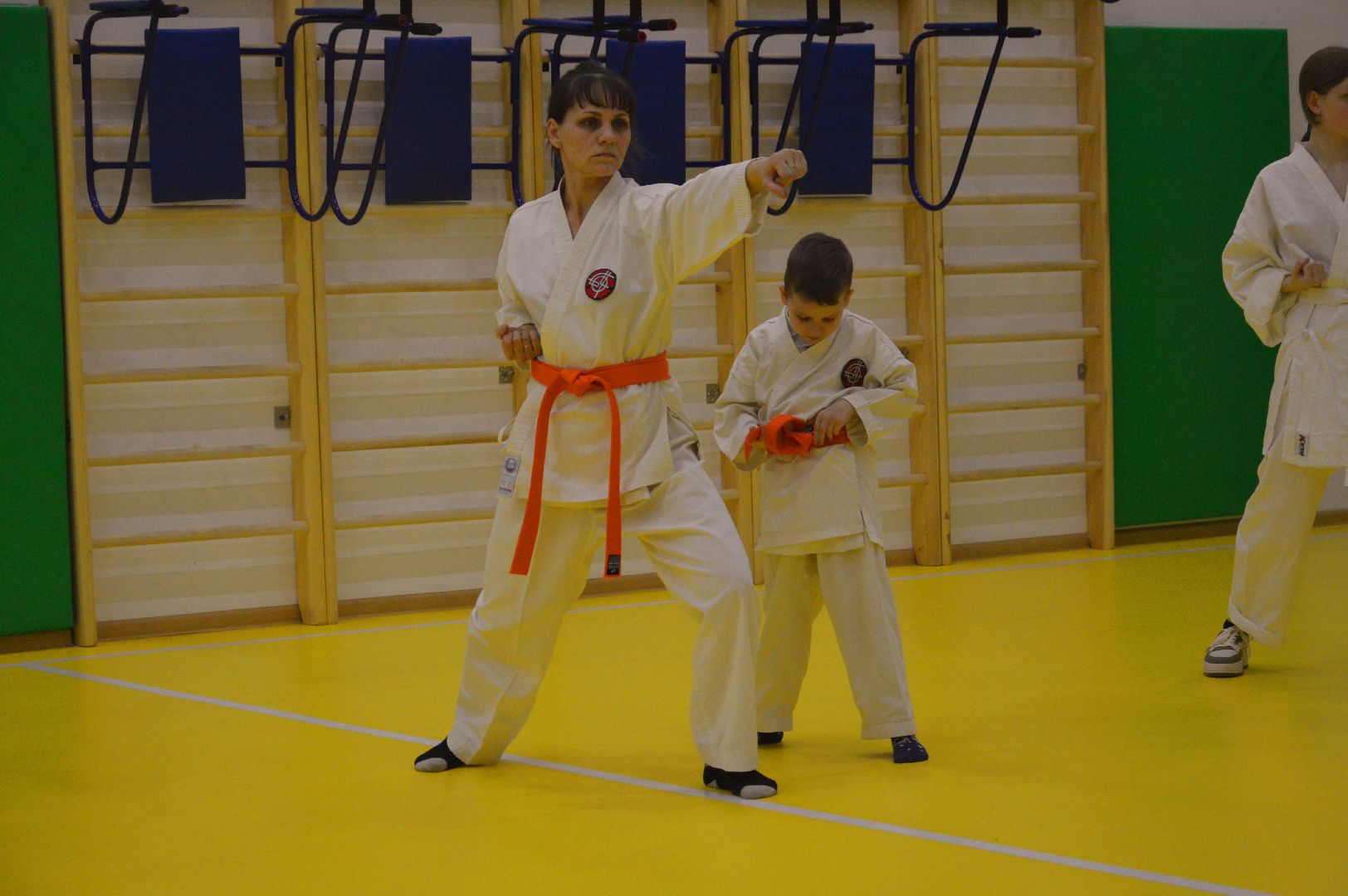 шатура, каратэ, городской округ спорт, лицей, перспектива, секция спорта,Будан, японская борьба,