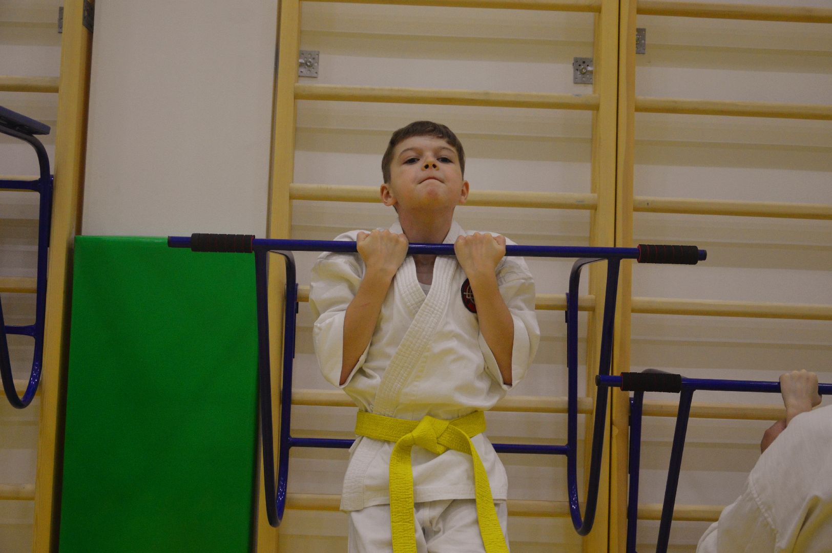 шатура, каратэ, городской округ спорт, лицей, перспектива, секция спорта,Будан, японская борьба,