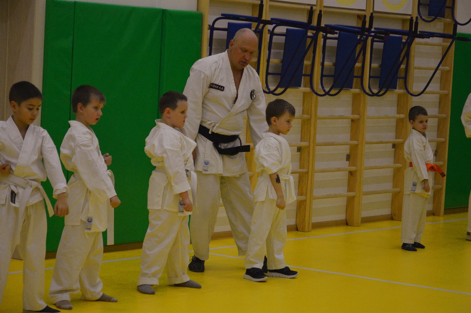 шатура, каратэ, городской округ спорт, лицей, перспектива, секция спорта,Будан, японская борьба,