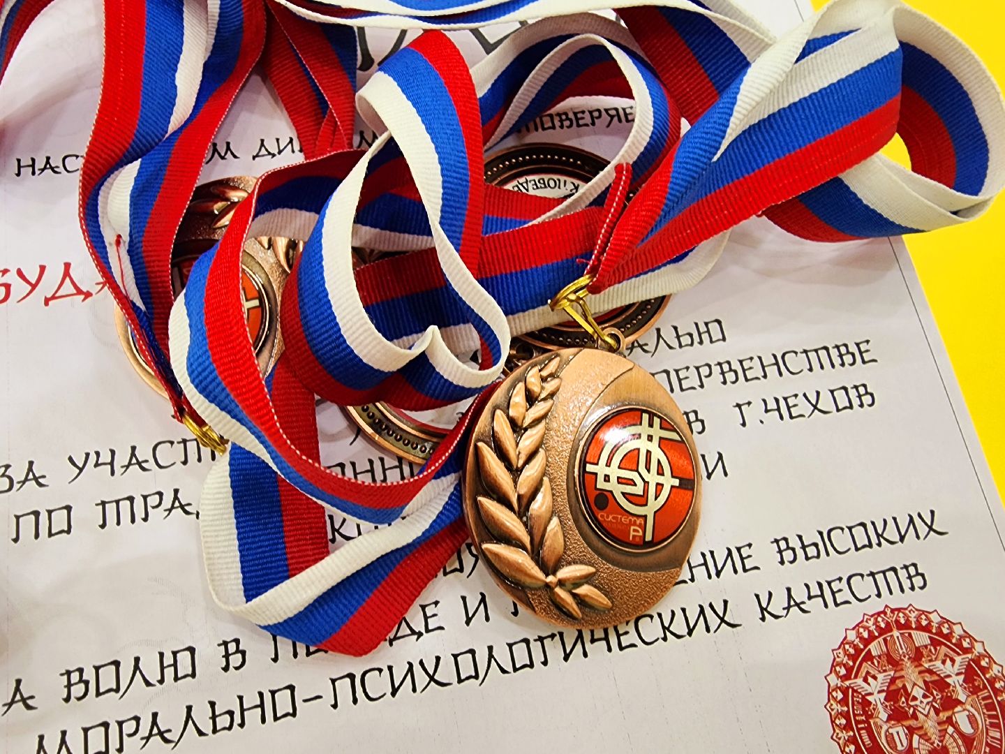 шатура, каратэ, городской округ спорт, лицей, перспектива, секция спорта,Будан, японская борьба,