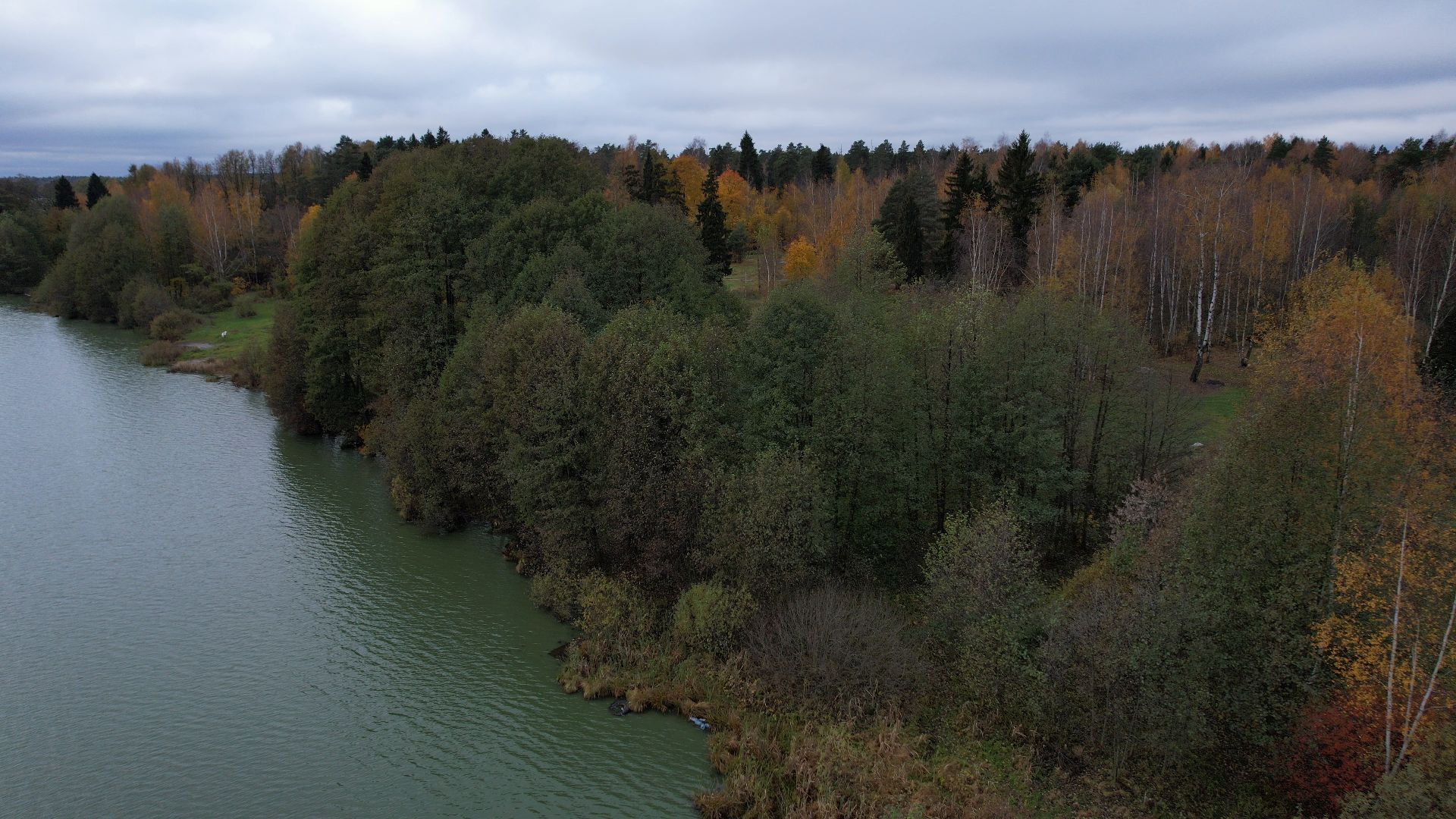 озеро, видео с коптера, купавна, рыба,