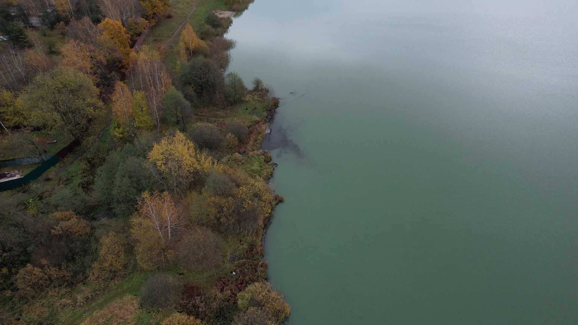 озеро, видео с коптера, купавна, рыба,