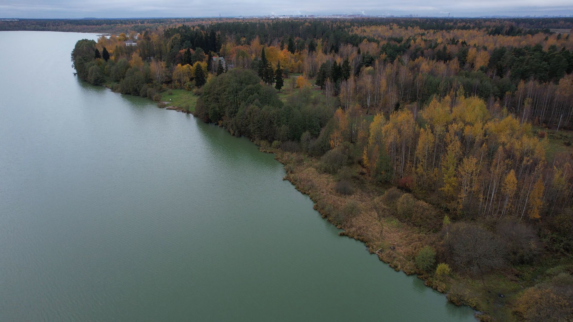 озеро, видео с коптера, купавна, рыба,