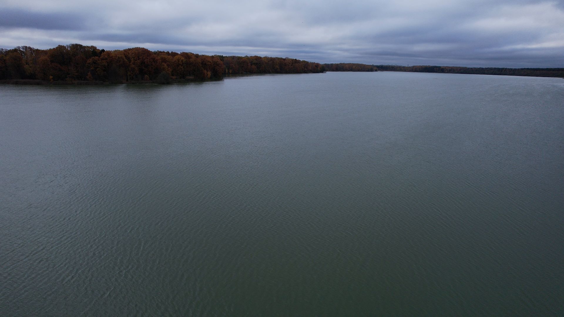 озеро, видео с коптера, купавна, рыба,