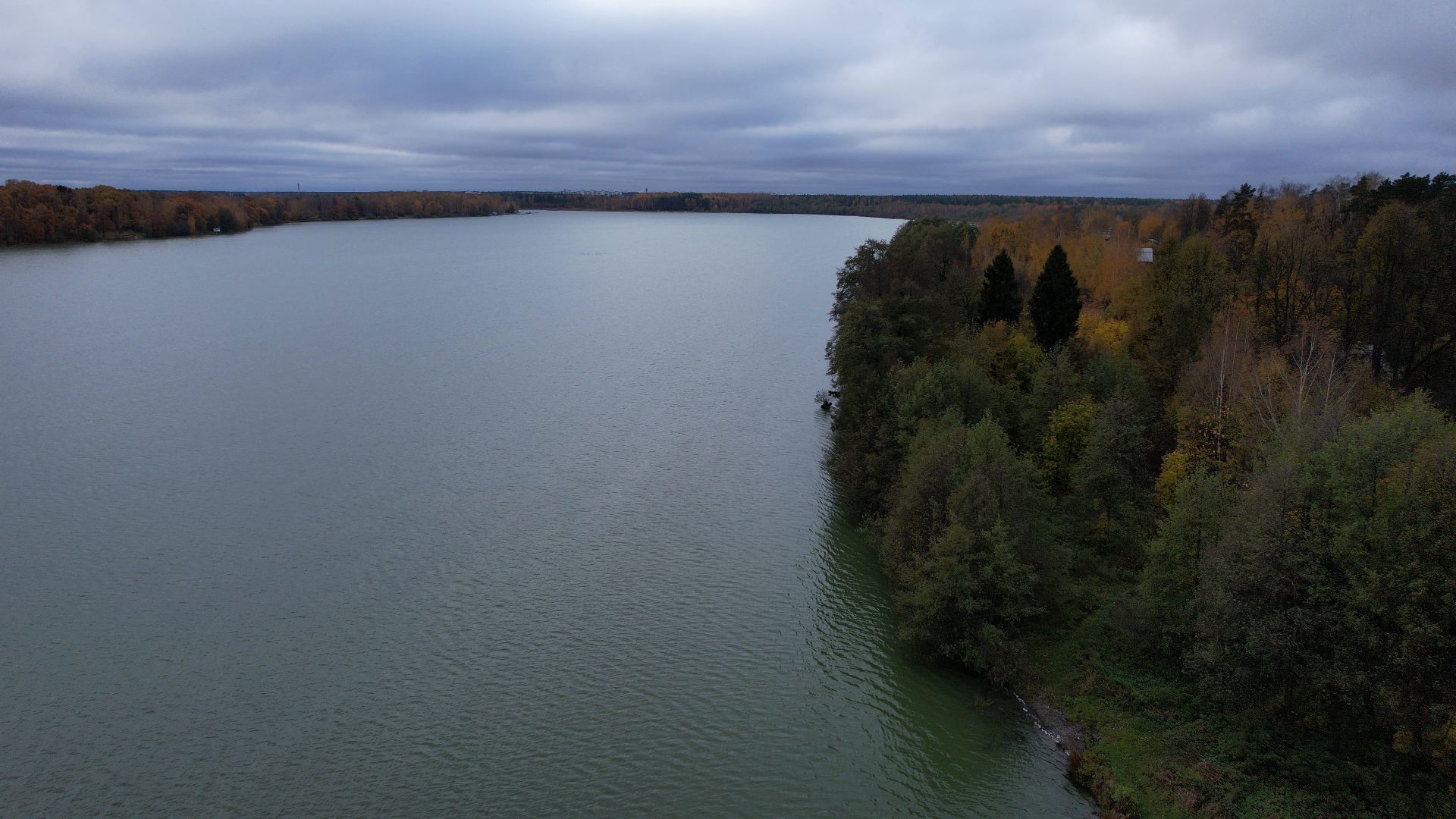 озеро, видео с коптера, купавна, рыба,