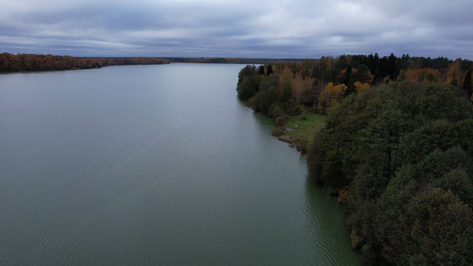 озеро, видео с коптера, купавна, рыба,