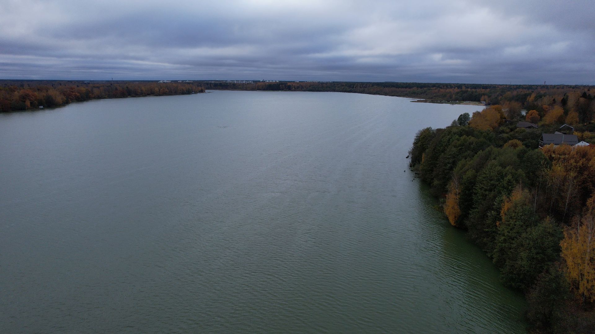 озеро, видео с коптера, купавна, рыба,