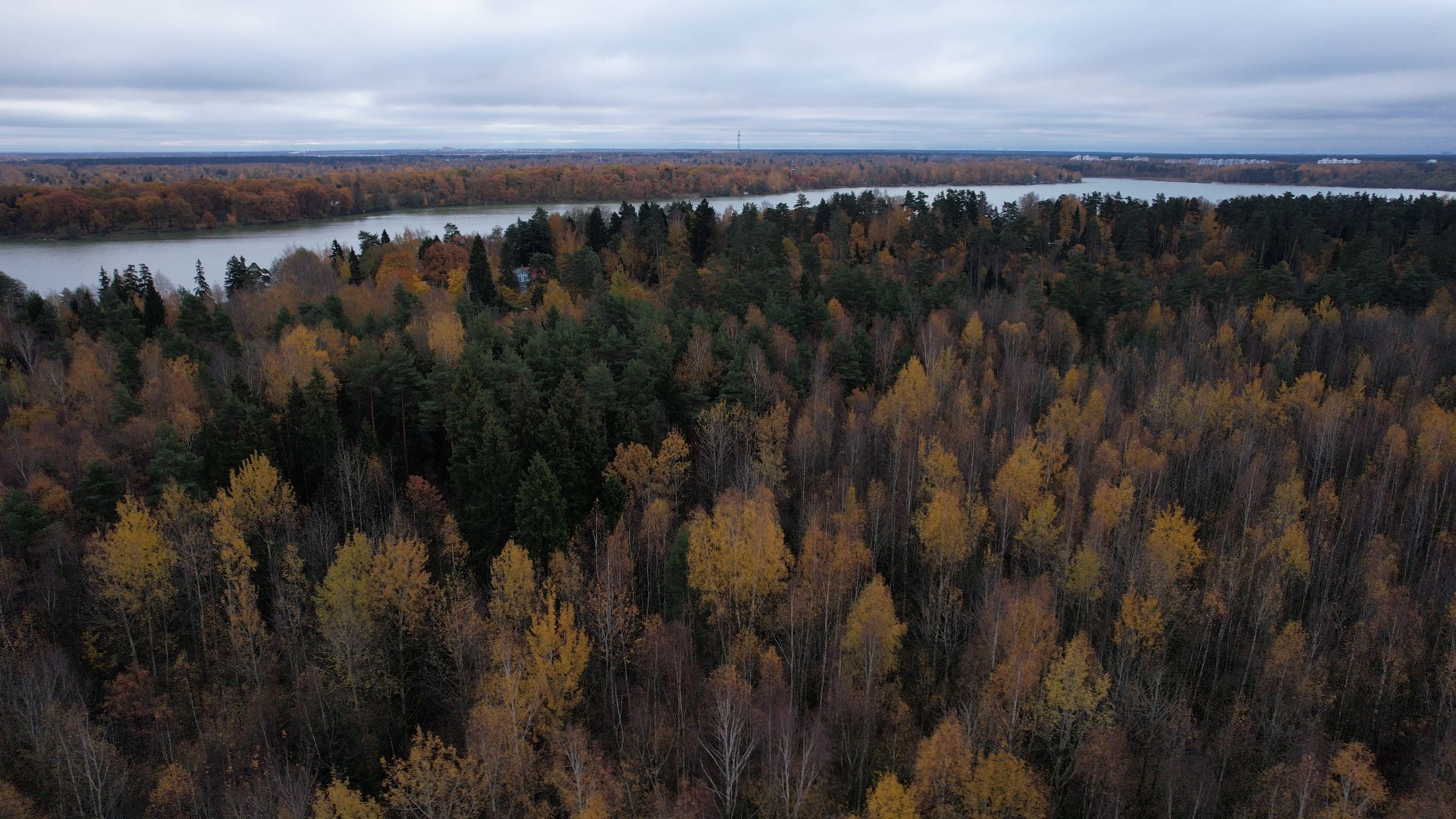 озеро, видео с коптера, купавна, рыба,
