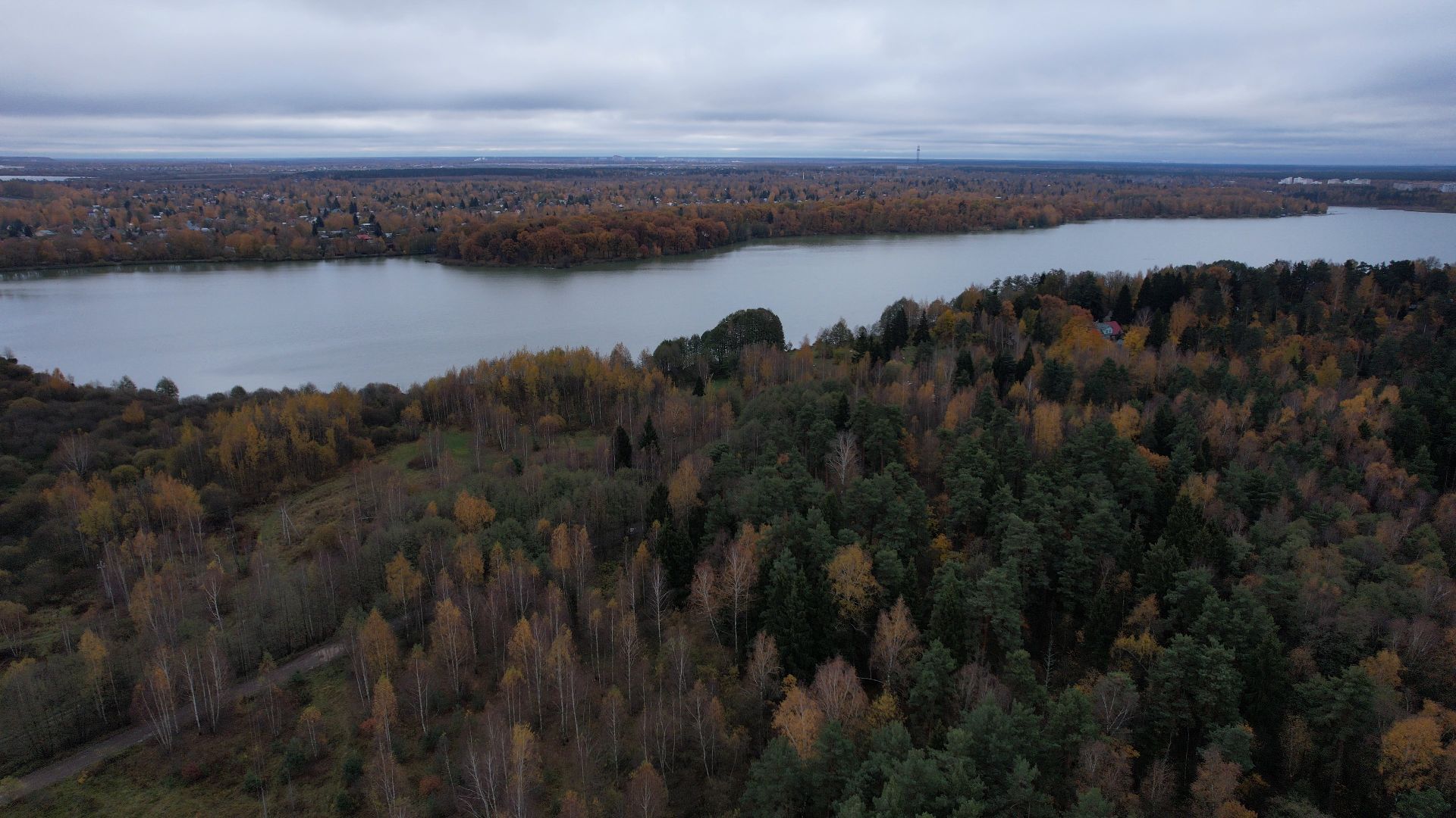 озеро, видео с коптера, купавна, рыба,
