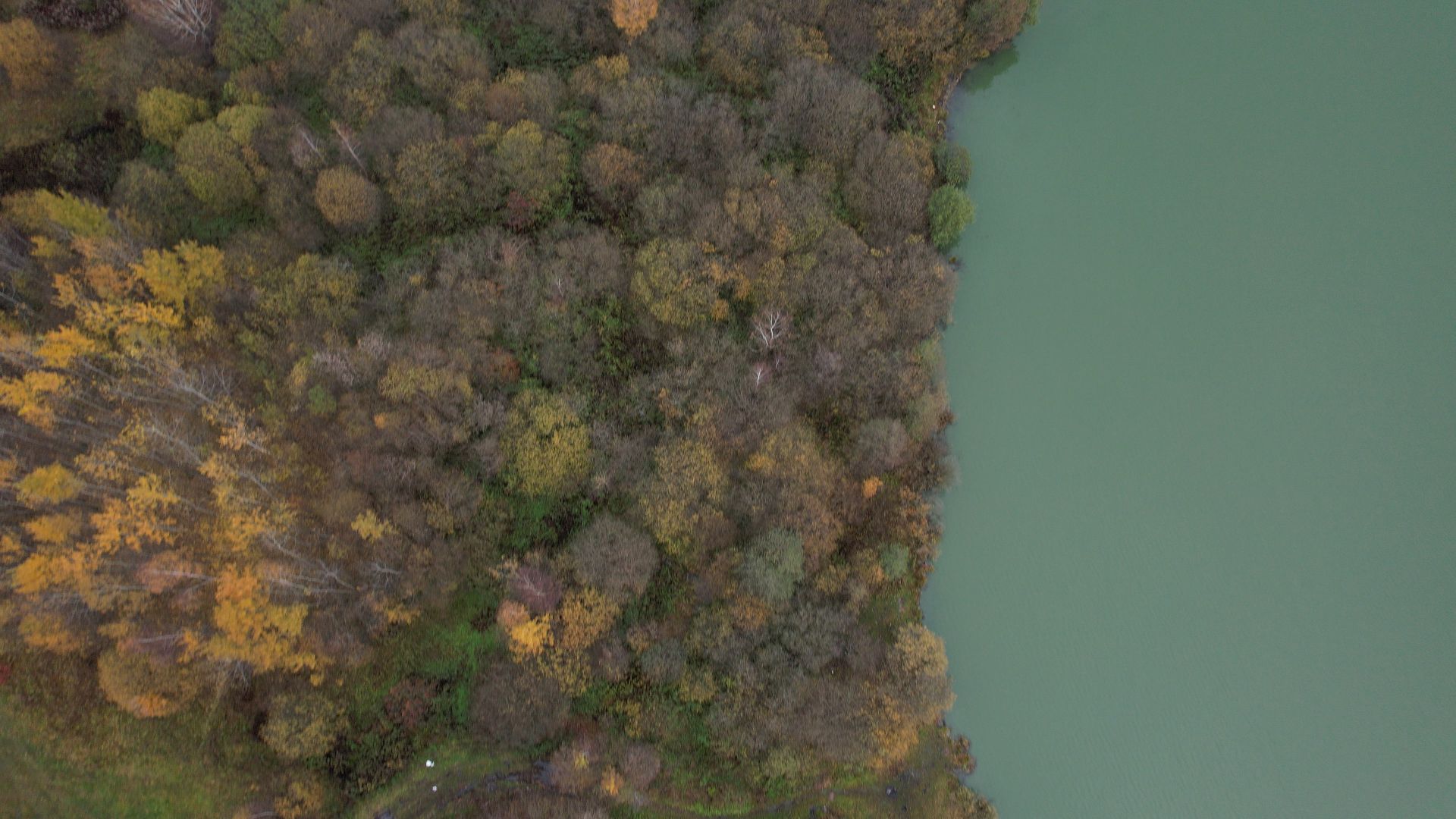 озеро, видео с коптера, купавна, рыба,