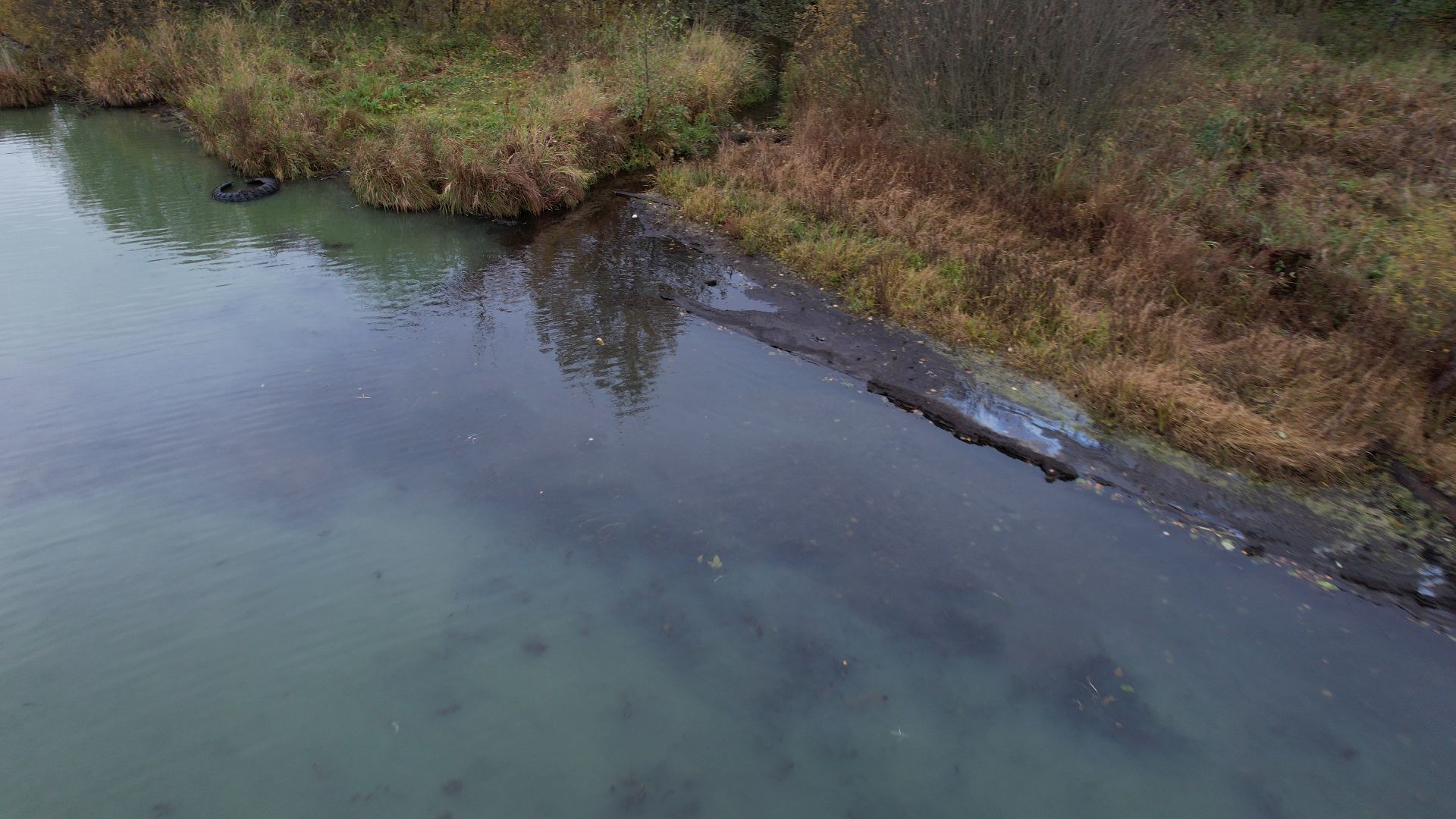 озеро, видео с коптера, купавна, рыба,
