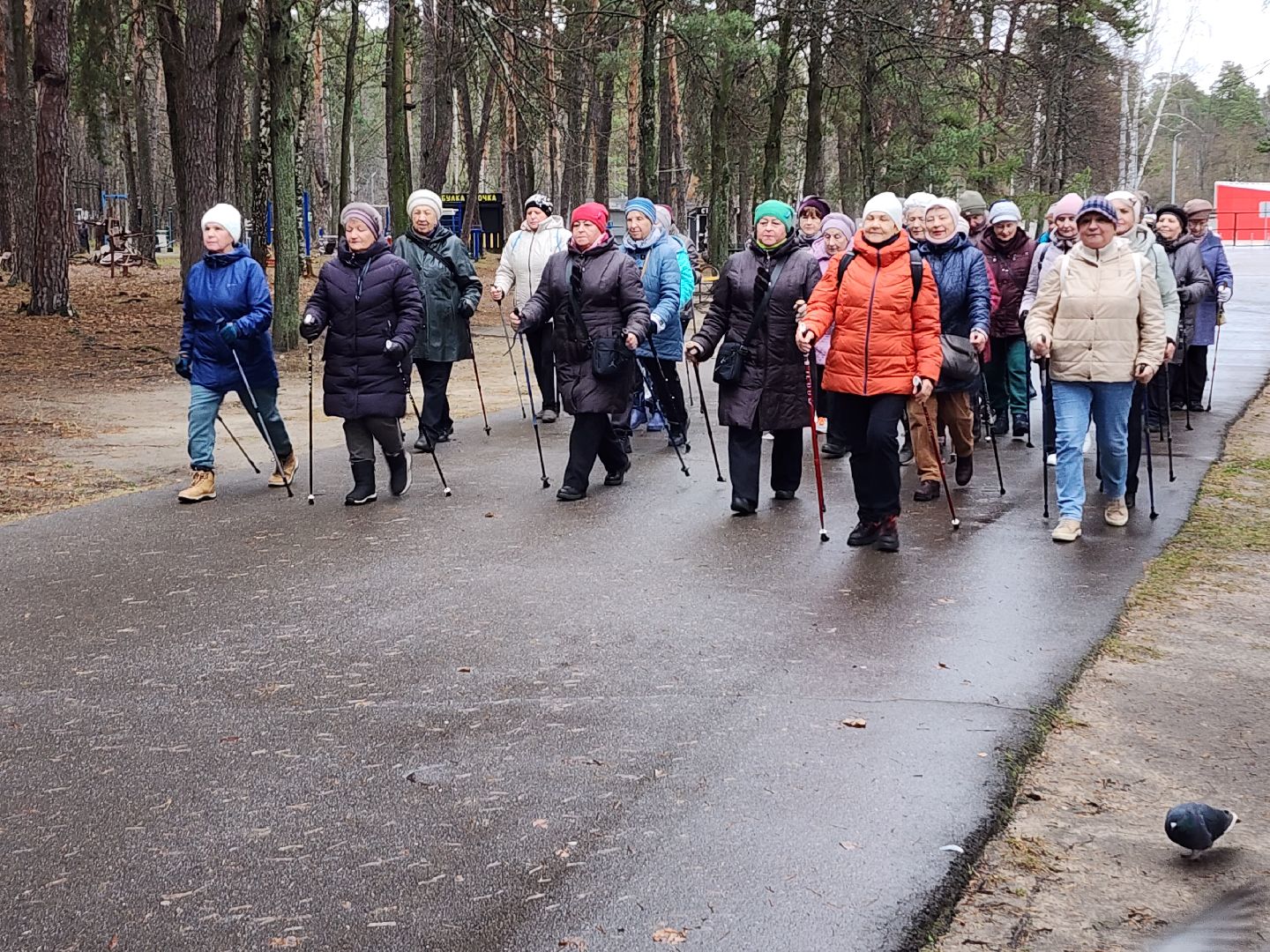 активное долголетие, долголеты, серпухов, стадион спартак, северная ходьба, скандинавская ходьба,