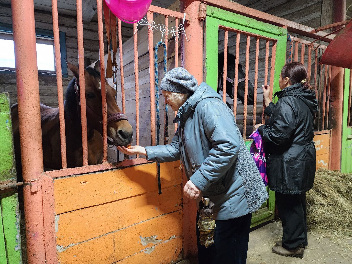 пушкино, конный клуб, активное долголетие, экскурсии,